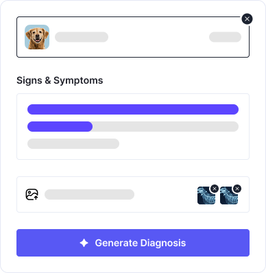 Real-Time Processing