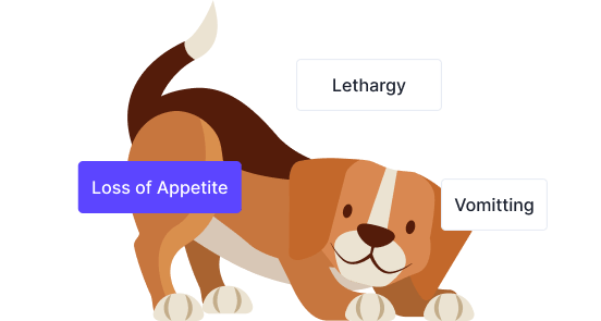 Symptom-Based Diagnosis Engine