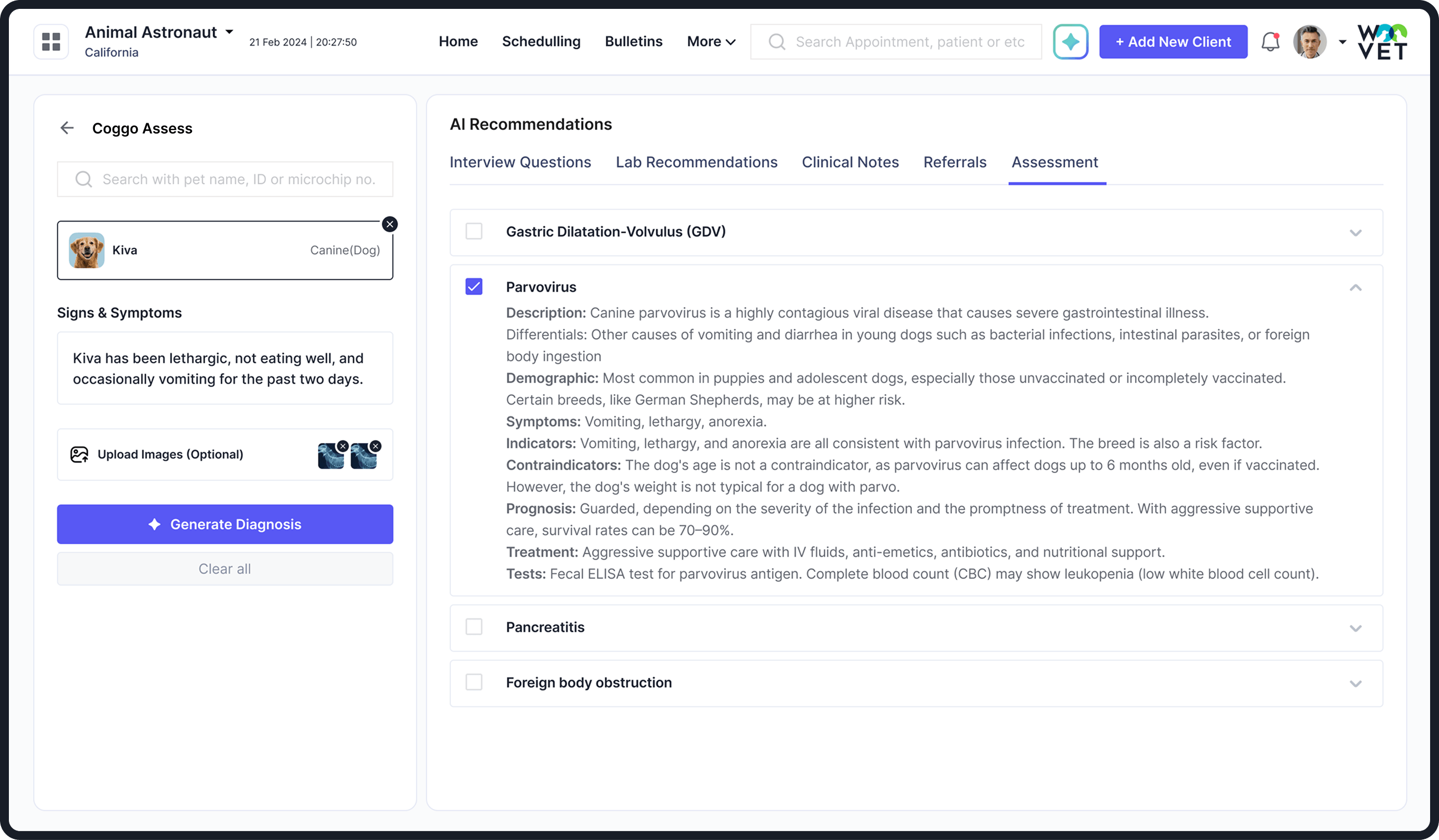 Feature Coggo Assess