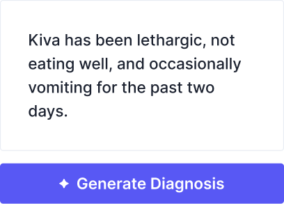 Natural Language Input