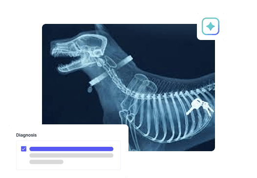 Image Analysis Integration